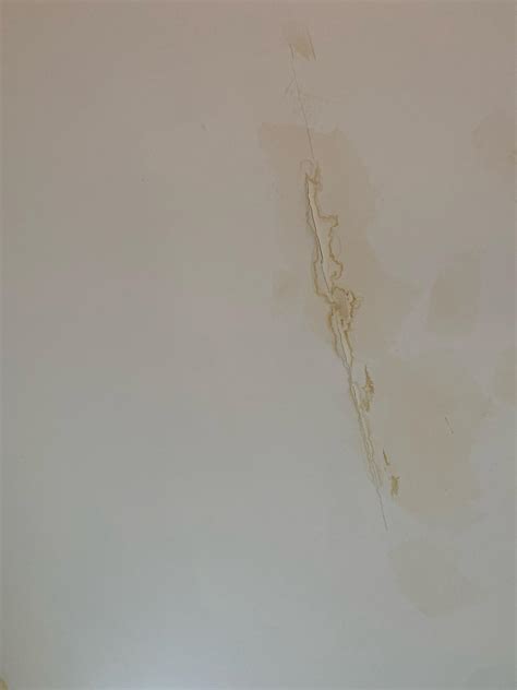 Is this mold or water damage? Both? This is downstairs ceiling from the