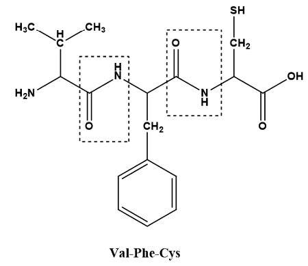 Write Full Structures For The Following Peptides And Indicate The