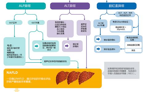 【一图 成人非酒精性脂肪性肝病的诊断与监测】 中华医学网 131