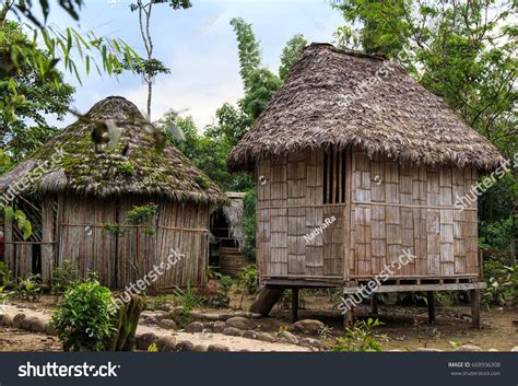 Indigenous Houses Ecuadorian Amazonian Jungle Ecuador Foto De Stock