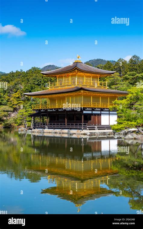 View Of Famous Golden Pavilion At Kinkaku Ji Golden Temple In Kyoto