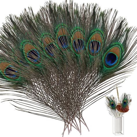 Lithyc Paquet de 30 PièCes Plume de Paon Plumes Plumes de Paon Plumes