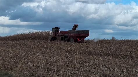 Picking Corn Youtube