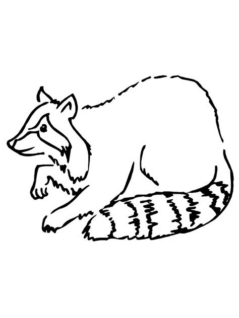 Free Printable Raccoon Coloring Pages For Kids