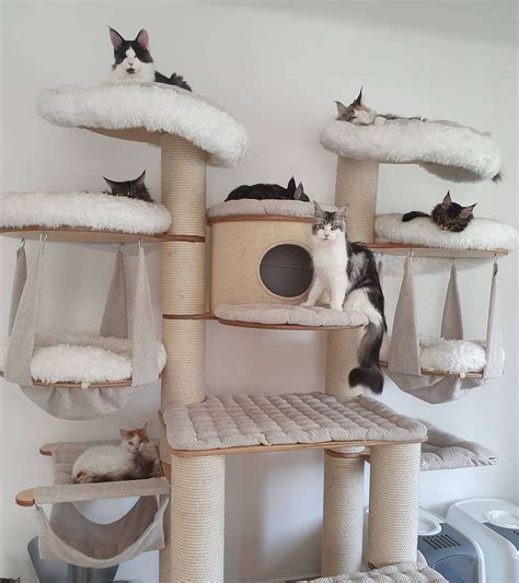 10 Amazing Cat Trees You Have To See