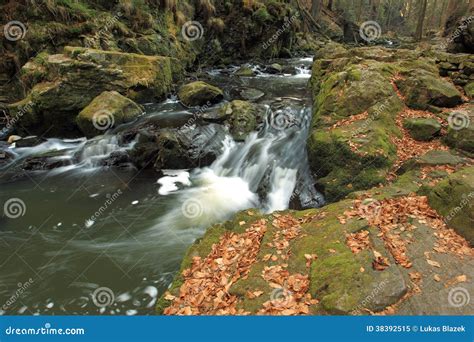 doubrava river valley stock image image  doubrava