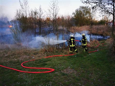 Magdeburger Feuerwehr L Scht Brand An Ostern