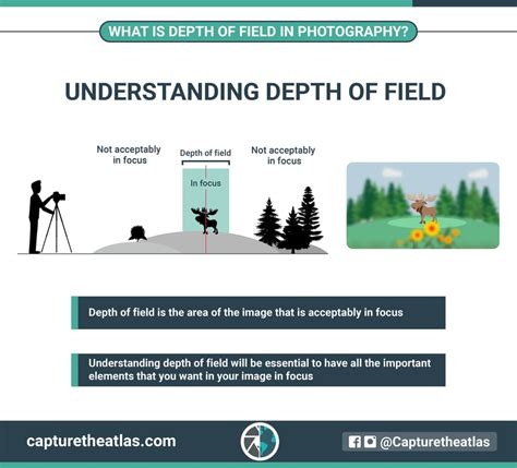 Depth Of Field In Photography Explained The Ultimate Dof Guide