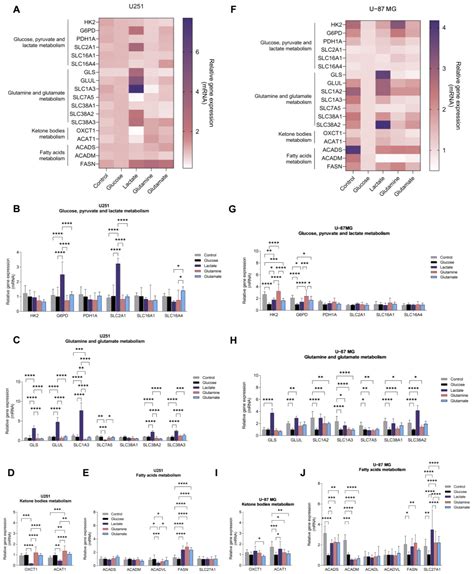 Biomedicines Free Full Text Metabolic Profiles Point Out Metabolic