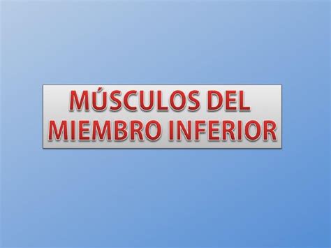 Ppt Musculos De Los Miembros Inferiores Ppt Dokumen Tips Hot Sex Picture