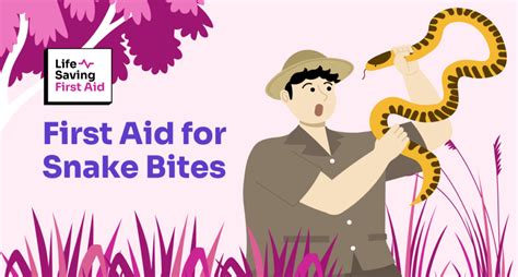 First Aid For Snake Bites