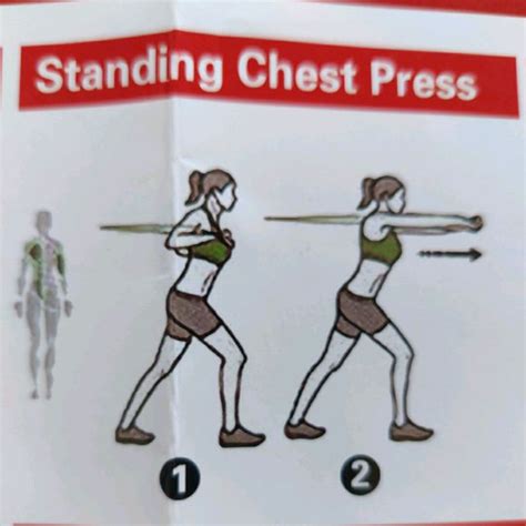 Standing Chest Press By Dan S Exercise How To Skimble