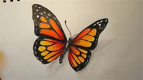 a drawing of a butterfly with orange and black markings on it's wings, sitting on top of a piece ...