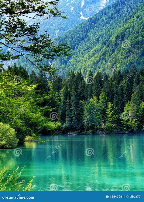 Vertical Landscape Lake Forest Stock Image Image Of Summer Trees