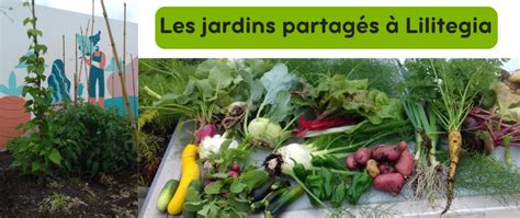 Evolution des jardins partagés à la résidence Lilitegia à Saint Jean de Luz