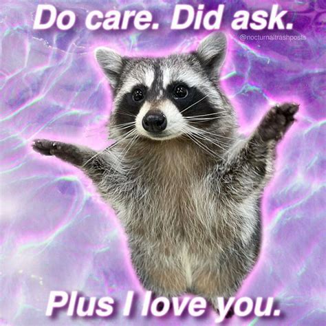 Nocturnal Trash Posts Raccoon Memes Instagram Raccoon Funny Cute