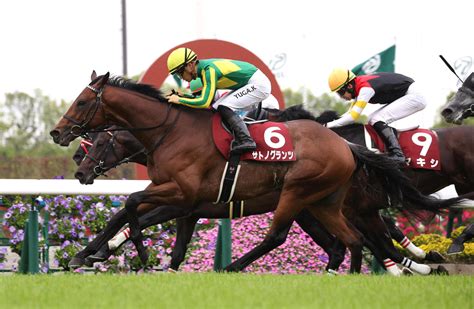 牡馬は京都新聞杯勝ちサトノグランツが入幕、牝馬は変動なし／クラシック番付 3歳馬特集 競馬写真ニュース 日刊スポーツ