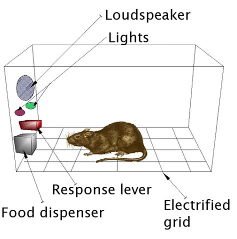 Operant Conditioning Chamber - Psynso