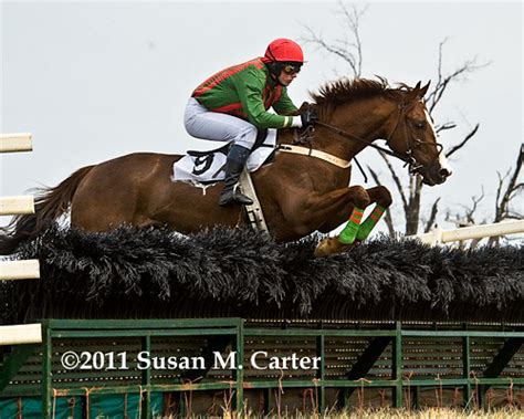 Steeplechase Horse Racing