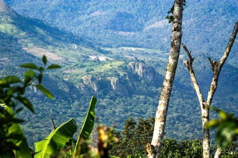 The Best Of Matagalpa Nicaraguas Coffee Country Vagrants Of The