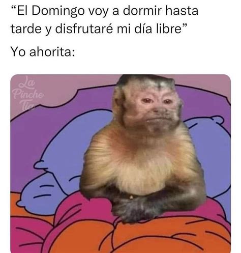 El Domingo voy a dormir hasta tarde y disfrutaré mi día libre Yo