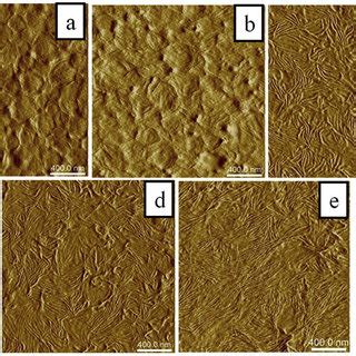 AFM images of the film p(SA15-2EHA50-SA15) dried at 23 °C a) top ...