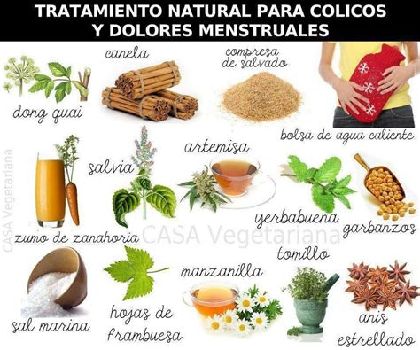 Arriba Imagen Recetas Para Quitar Los Colicos Menstruales Abzlocal Mx