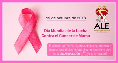 Cuando Se Celebra El Dia Internacional Del Cancer De Mama