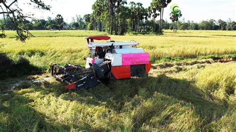 Best Combine Harvester Kubota Dc 70 Cutting Rice Skills Workers New