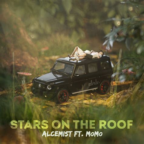 Stars On The Roof Feat Momo Song And Lyrics By Alcemist Momo