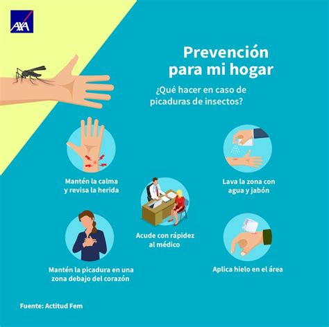 Conoce Cómo Actuar Con Picaduras De Insectos Picaduras De Insectos