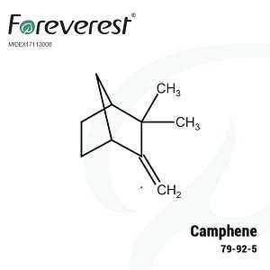 Camphene - Foreverest Resources Ltd