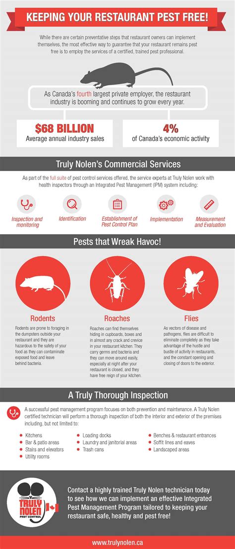 Keep your Restaurant Pest Free - Truly Nolen Pest Control