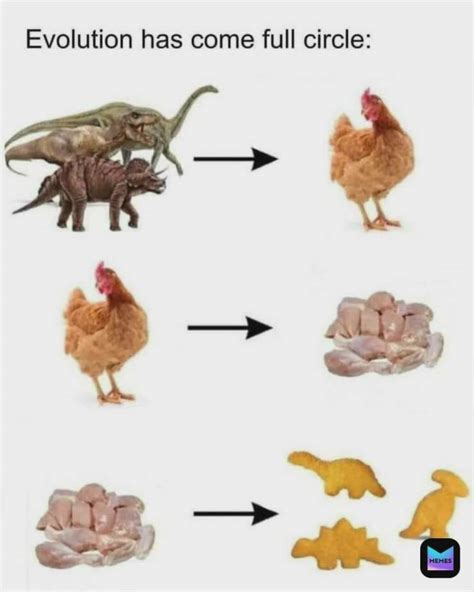 The Best Evolution Memes That Will Make You Believe In Survival Of The