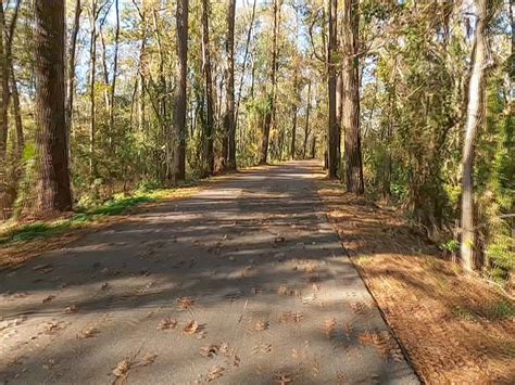 Best bike trail in Louisiana Tammany Trace | The Heart of Louisiana