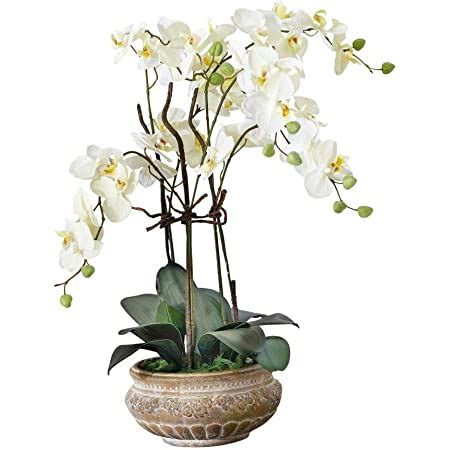 Vidaxl Orchidea Artificiale In Vaso Cm Bianca Piante Finte Fiori