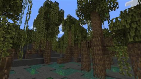 5 Things You Might Not Know About Mangrove Swamps In Minecraft 1 19