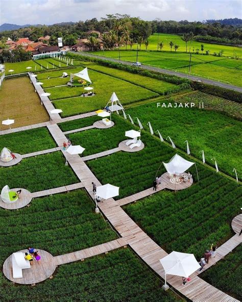 Svargabumi Borobudur Wisata Tengah Sawah Ala Ubud Outdoor Restaurant