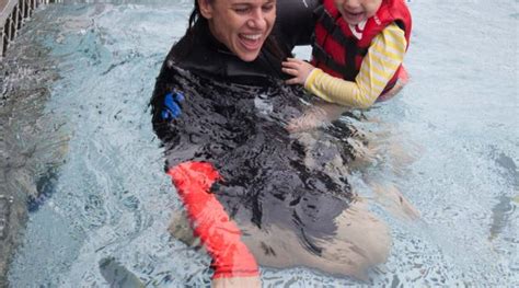 Discover Sunlover Reef Cruises Dive Into The Great Barrier Reef