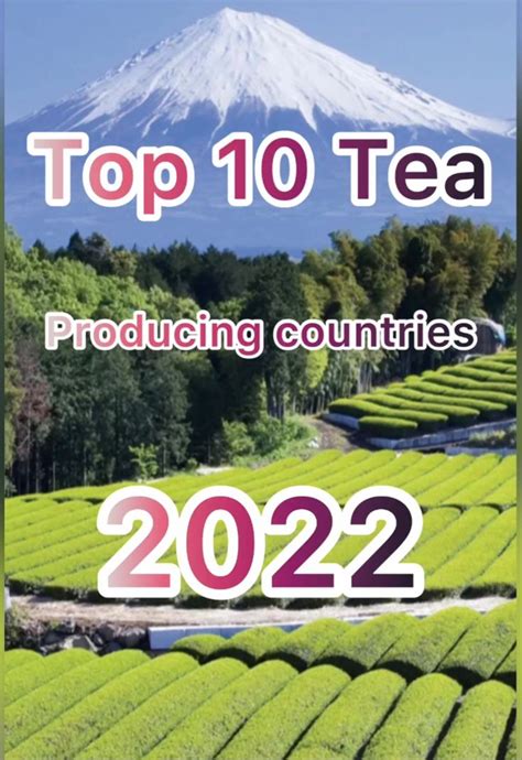 Top 10 Tea Producing Countries In 2022 10 Things Tea Country