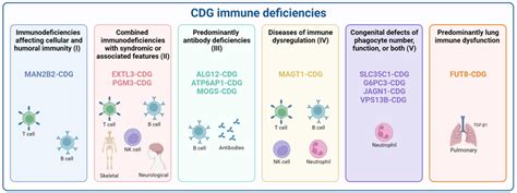 Classification Of Cdg According To Inborn Errors Of Immunity Cdg