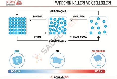 5 Sınıf Maddenin Halleri ve Özellikleri Çalışması Fen Bilimleri