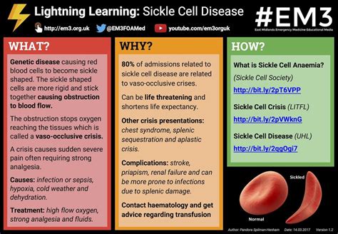 Lightning Learning Sickle Cell Disease — Em3