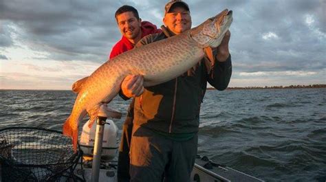 The 5 Best Lake Michigan Fishing Charters