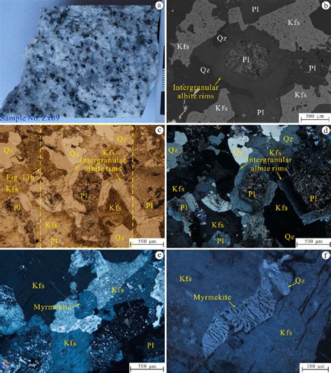 Photographs A And Representative Photomicrographs Under Transmitted