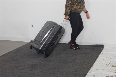 The 8 Best Checked Luggage, Tested by Real People