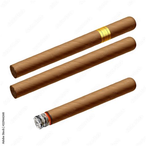 Cuban Cigars Vector Illustration Stock Vector Adobe Stock