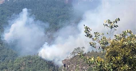 Incendios Forestales Dañaron Más De 3 Mil Hectáreas De Bosques La