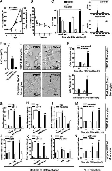 Human Plasma Membrane Derived Vesicles Halt Proliferation And Induce