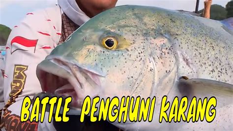 FULL BATTLE MENAKLUKKAN PENGHUNI KARANG MANCING MANIA STRIKE BACK